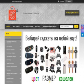 Скриншот главной страницы сайта tig-shop.by