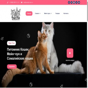 Скриншот главной страницы сайта tigerfun.ru