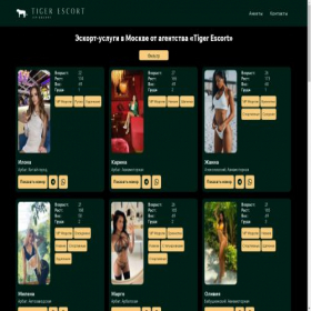 Скриншот главной страницы сайта tigermodels.ru