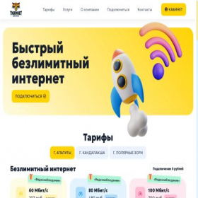 Скриншот главной страницы сайта tigernet.ru
