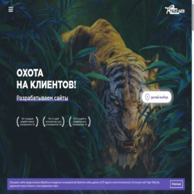 Скриншот главной страницы сайта tigerweb.ru