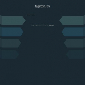 Скриншот главной страницы сайта tiggercoin.com