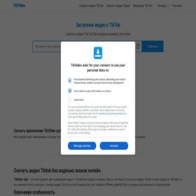 Скриншот главной страницы сайта tikvideo.app