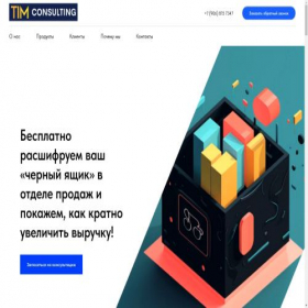 Скриншот главной страницы сайта tim-consult.ru