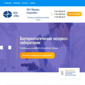 Скриншот главной страницы сайта tin-lab.ru