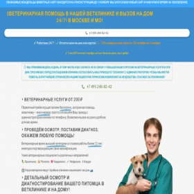 Скриншот главной страницы сайта tingvet.ru