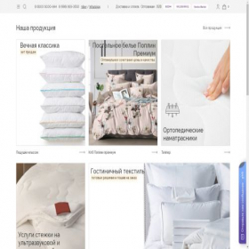 Скриншот главной страницы сайта tk-bagira.ru