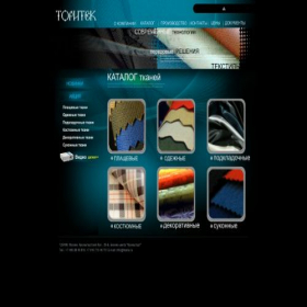 Скриншот главной страницы сайта tkanis.ru
