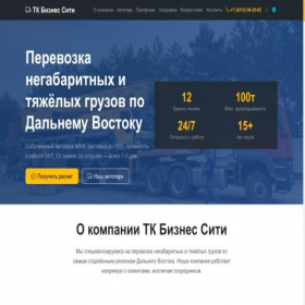 Скриншот главной страницы сайта tkcity.pro