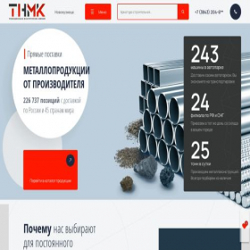 Скриншот главной страницы сайта tnmk-novokuzneck.ru