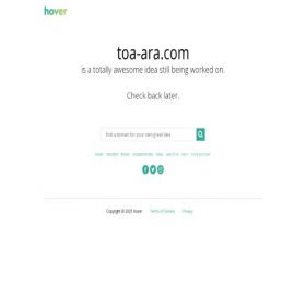 Скриншот главной страницы сайта toa-ara.com