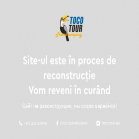 Скриншот главной страницы сайта tocotour.md