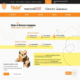 Скриншот главной страницы сайта todigroup.ru