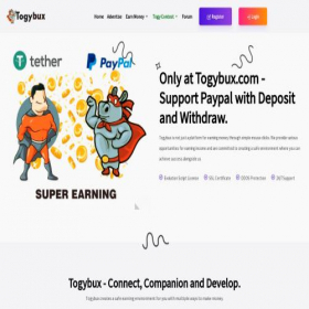 Скриншот главной страницы сайта togybux.com