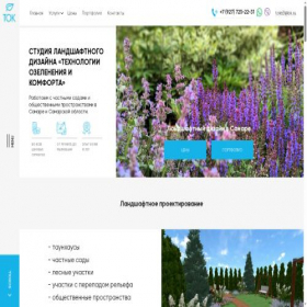 Скриншот главной страницы сайта tok63.ru