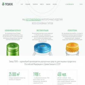 Скриншот главной страницы сайта tokkcompany.ru