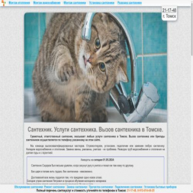 Скриншот главной страницы сайта tomsk.santehyslugi.ru