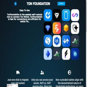 Скриншот главной страницы сайта tonfoundationhub.io