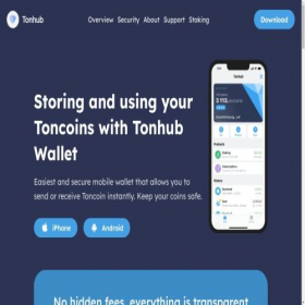 Скриншот главной страницы сайта tonhub.com
