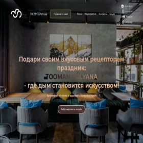 Скриншот главной страницы сайта toomanpolyana.ru