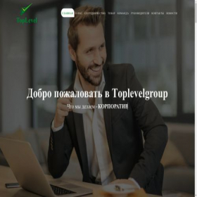Скриншот главной страницы сайта top-level.su