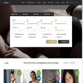 Скриншот главной страницы сайта top.feimsk.one