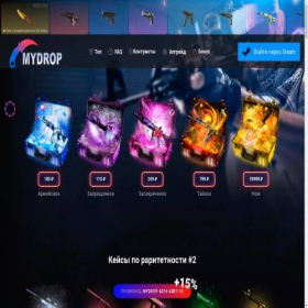 Скриншот главной страницы сайта topcase.pro