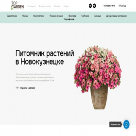 Скриншот главной страницы сайта topgardennvk.ru