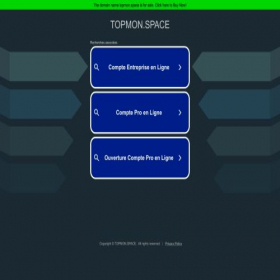 Скриншот главной страницы сайта topmon.space