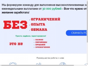 Скриншот главной страницы сайта toponline24.ru