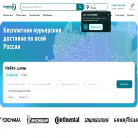 Скриншот главной страницы сайта topshina24.ru