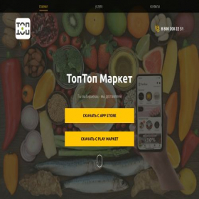 Скриншот главной страницы сайта toptopmarket.ru