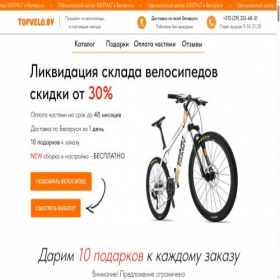 Скриншот главной страницы сайта topvelo.by