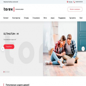 Скриншот главной страницы сайта torex.ru