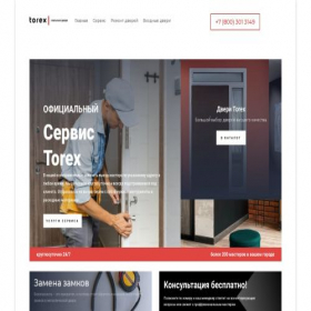 Скриншот главной страницы сайта torex.xn--b1ade8b6c.site