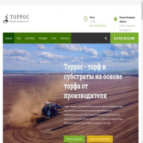 Скриншот главной страницы сайта torf.pro