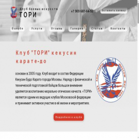 Скриншот главной страницы сайта toriclub.ru