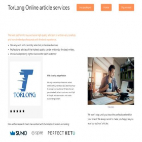 Скриншот главной страницы сайта torlong.com
