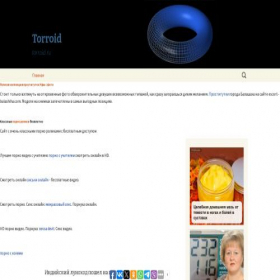 Скриншот главной страницы сайта torroid.ru