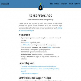 Скриншот главной страницы сайта torservers.net