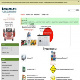 Скриншот главной страницы сайта tosam.ru