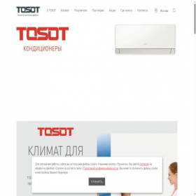 Скриншот главной страницы сайта tosot.ru