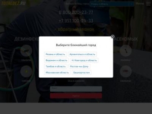 Скриншот главной страницы сайта totaldez.ru