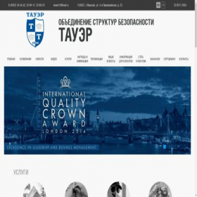 Скриншот главной страницы сайта towersecurity.ru