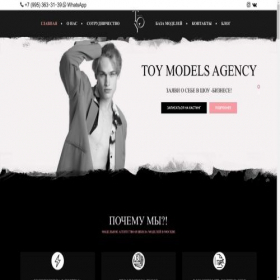 Скриншот главной страницы сайта toy-models.ru