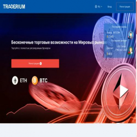 Скриншот главной страницы сайта traderium.net
