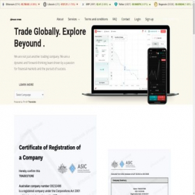 Скриншот главной страницы сайта tradestore.pro