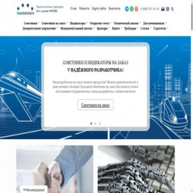 Скриншот главной страницы сайта tradexperts.ru