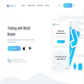 Скриншот главной страницы сайта tradezoom.pro