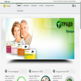 Скриншот главной страницы сайта tradoteam.com
